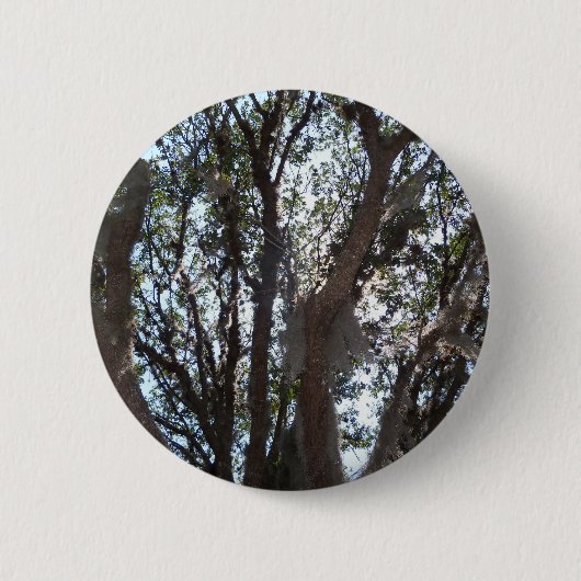 Eichenwald blauer Himmel und Moos Button (Vorderseite)