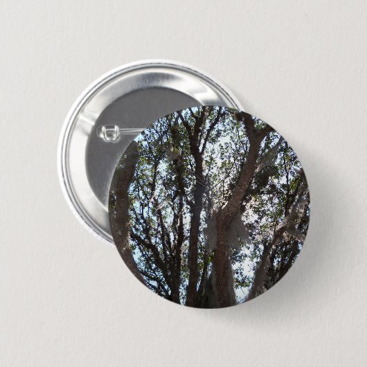 Eichenwald blauer Himmel und Moos Button (Vorne & Hinten)