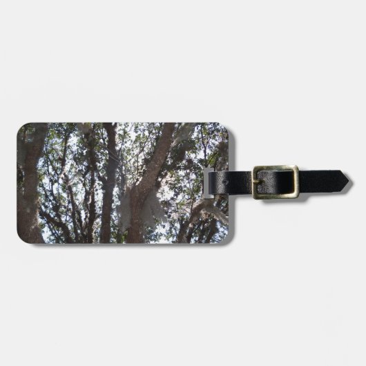 Eichenwald blauer Himmel und Moos Gepäckanhänger (Vorderseite horizontal)