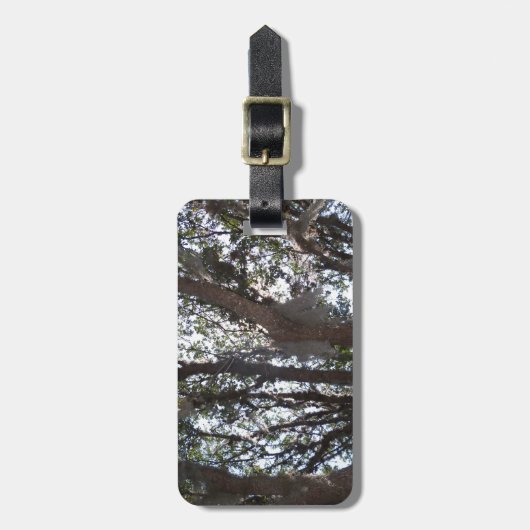 Eichenwald blauer Himmel und Moos Gepäckanhänger (Vorderseite vertikal)