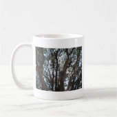 Eichenwald blauer Himmel und Moos Kaffeetasse (Links)