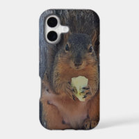 Eichhörnchen