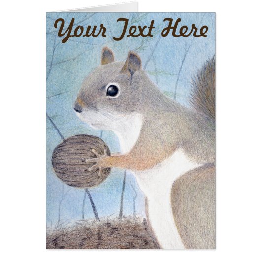 Eichhörnchen (Vorne)