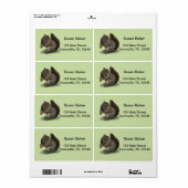 Eichhörnchen (Vorne)