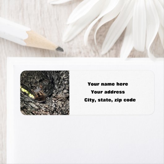 Eichhörnchen (Insitu)