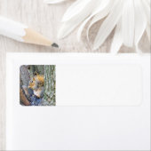 Eichhörnchen (Insitu)