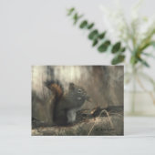 Eichhörnchen 01 postkarte (Stehend Vorderseite)