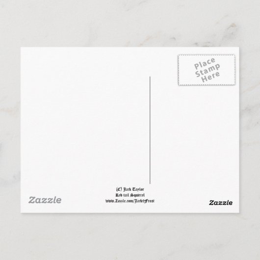 Eichhörnchen 01 postkarte (Rückseite)