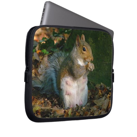 Eichhörnchen 02 laptopschutzhülle (Vorne Rechts)