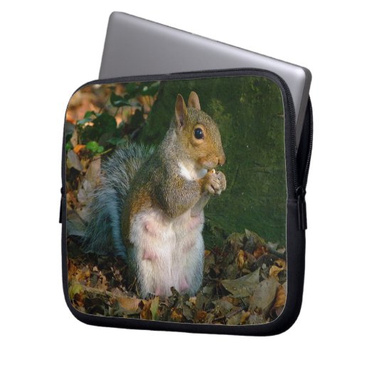 Eichhörnchen 02 laptopschutzhülle (Vorderseite Links)