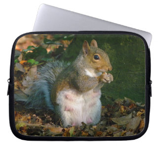 Eichhörnchen 02 laptopschutzhülle