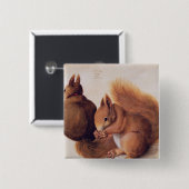 Eichhörnchen, 1512 button (Vorne & Hinten)