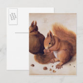 Eichhörnchen, 1512 postkarte (Vorne/Hinten)