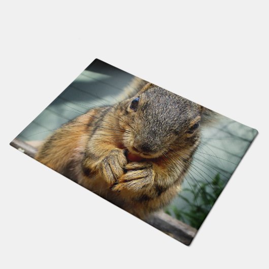Eichhörnchen 1 fußmatte (Schrägansicht)