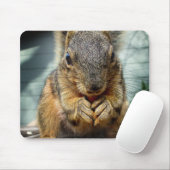 Eichhörnchen 1 mousepad (Mit Mouse)