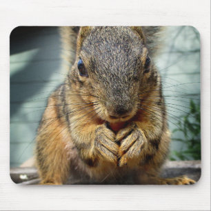 Eichhörnchen 1 mousepad
