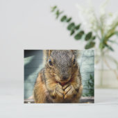 Eichhörnchen 1 postkarte (Stehend Vorderseite)