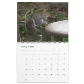 Eichhörnchen 2014 Kalender (Jan 2027)