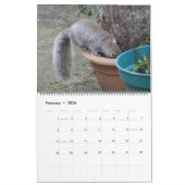Eichhörnchen 2015 - Kalender (Feb 2026)