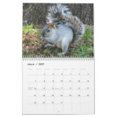 Eichhörnchen 2016 - Kalender (Mär 2027)