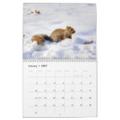 Eichhörnchen 2016 - Kalender (Jan 2027)