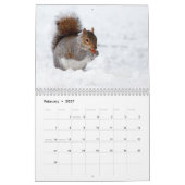 Eichhörnchen 2016 - Kalender (Feb 2027)