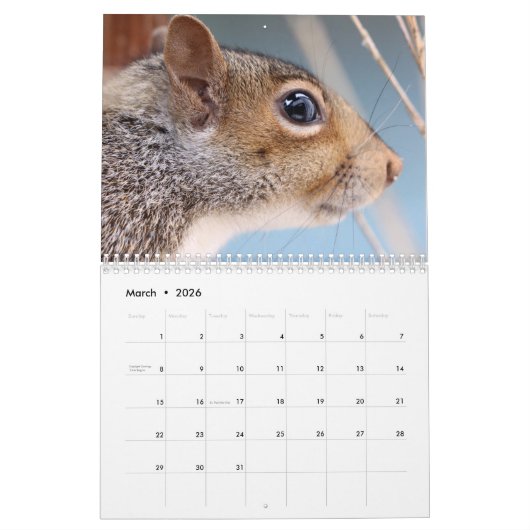 Eichhörnchen 2026 kalender (Mär 2026)