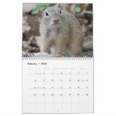 Eichhörnchen 2026 kalender (Feb 2026)