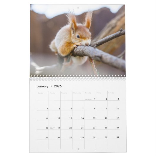 Eichhörnchen 2026 kalender (Jan 2026)