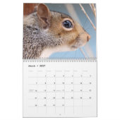 Eichhörnchen 2026 kalender (Mär 2027)