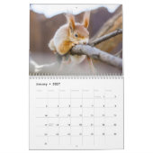 Eichhörnchen 2026 kalender (Jan 2027)
