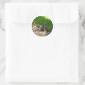 Eichhörnchen #3 Stickers (Tasche)