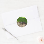 Eichhörnchen #3 Stickers (Umschlag)