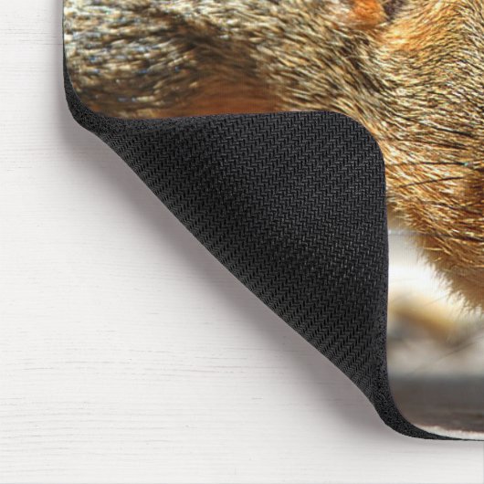 Eichhörnchen Abendessen Mousepad (Ecke)