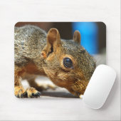 Eichhörnchen Abendessen Mousepad (Mit Mouse)