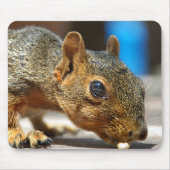 Eichhörnchen Abendessen Mousepad (Vorne)