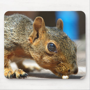 Eichhörnchen Abendessen Mousepad