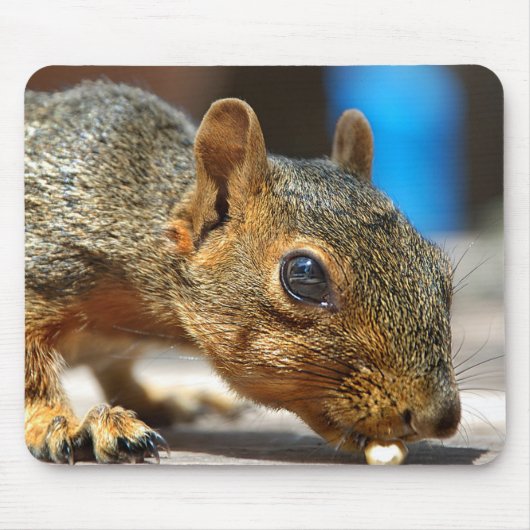 Eichhörnchen Abendessen Mousepad (Vorne)