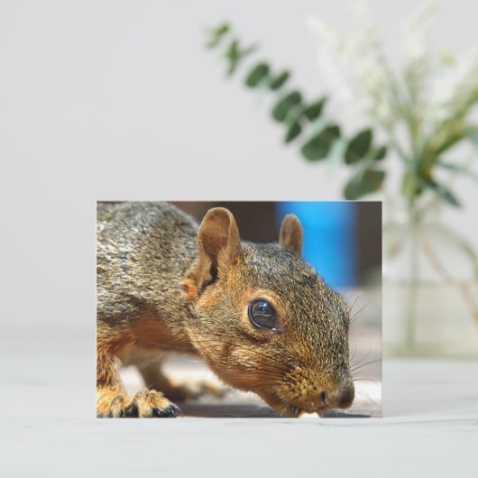 Eichhörnchen Abendessen Postkarte (Stehend Vorderseite)