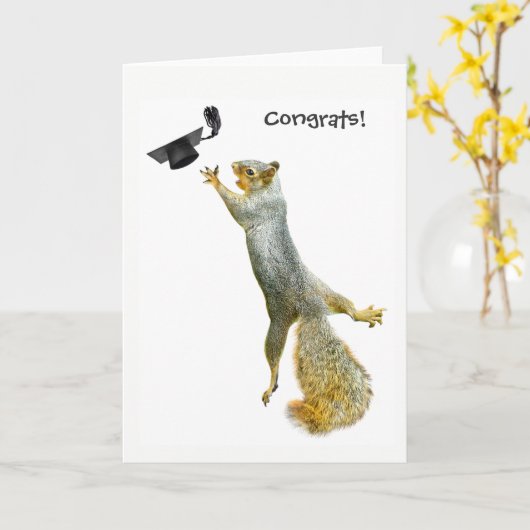 Eichhörnchen-Abschluss Karte (Gelbe Blume)