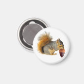 Eichhörnchen Acorn Magnet (Vorderseite/Rückseite)