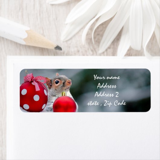 Eichhörnchen-Adressetiketten (Insitu)