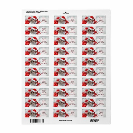 Eichhörnchen-Adressetiketten (Vorne)
