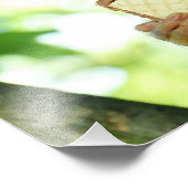 Eichhörnchen Affe isst einen Wafer Biscuit Fotodruck (Ecke)