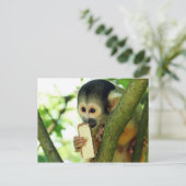 Eichhörnchen Affe isst einen Wafer Biscuit Postkarte (Stehend Vorderseite)