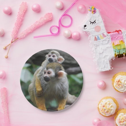 Eichhörnchen-Affe Pappteller (Party)