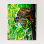 Eichhörnchen-Affe. Puzzle (Vertikal)