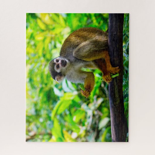 Eichhörnchen-Affe. Puzzle (Vertikal)