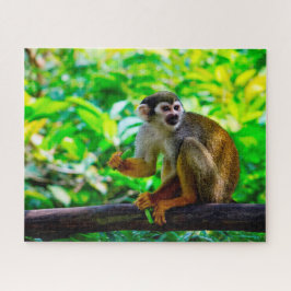 Eichhörnchen-Affe. Puzzle