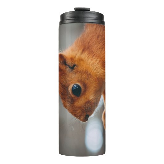EICHHÖRNCHEN AM BAUMSTAMM THERMOSBECHER (Vorderseite)